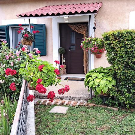 Holiday Home Goga เดอร์นิช ภายนอก รูปภาพ