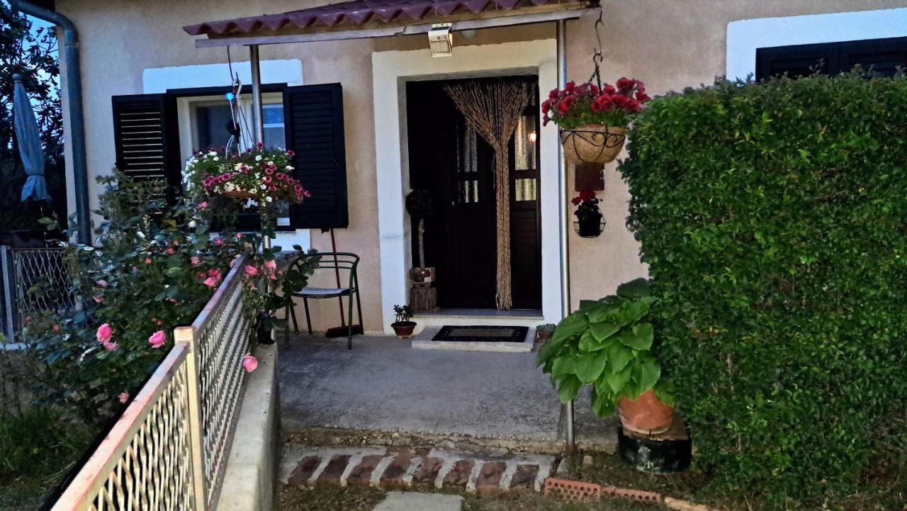 Holiday Home Goga เดอร์นิช ภายนอก รูปภาพ
